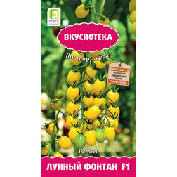 ������ ������ ����� ������ ������ F1 (����������)   ����