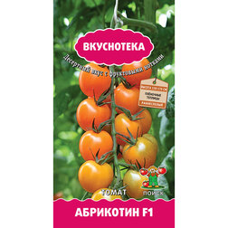 ������ ������ ����� ��������� F1   ����