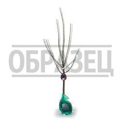 ������ ������ ����� ������� (�����) �������� (�������������) (������ �����) � �����   ����