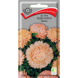 ������ ������ ����� ���� ����� �����   ����