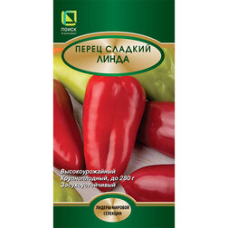 ������ ������ ����� ������� �����   ����