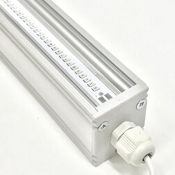 ������ ������ �������������� FitoLED 55 COMBO (������ ������) 102 ��   ����