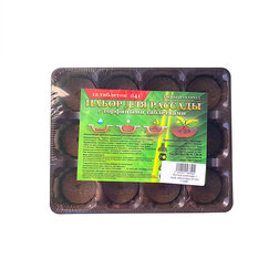 ������ ������ ������� �/������� � ����.���������� (41��)   ����