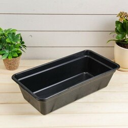 ������ ������ ���� ��� ������� ������������� �2   ����