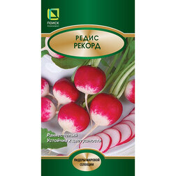 ������ ������ ������ ������ ������   ����