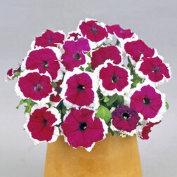 ������ ������ ������� ����������� ����� ������ ������� (��-1000�����) ���������������� ������   ����