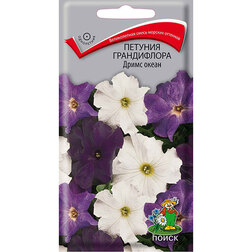 ������ ������ ������� ����������� ����� �����   ����