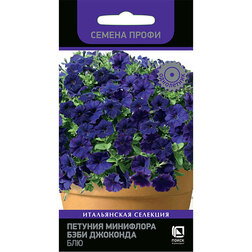 ������ ������ ������� ��������� ���� �������� ��� (������ �����)   ����