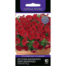 ������ ������ ������� ��������� ���� �������� ����� ��� (������ �����)   ����