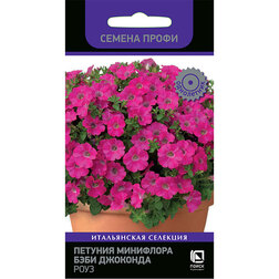 ������ ������ ������� ��������� ���� �������� ���� (������ �����)   ����