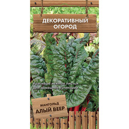 ������ ������ �������� ���� ���� (������������ ������ )   ����