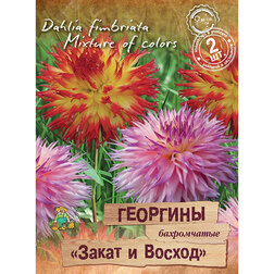 ������ ������ �������� ����������� ����� � ������ (2 ��.)   ����