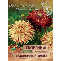 ������ ������ �������� ������������ ��������� ���� (2 ��.)   ����