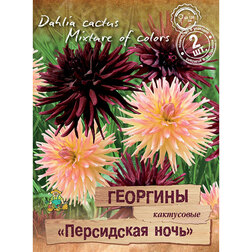 ������ ������ �������� ���������� ���������� ���� (2 ��.)   ����