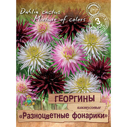 ������ ������ �������� ���������� ������������ �������� (3 ��.)   ����