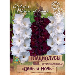 ������ ������ ���������� ��������������� ���� � ���� (25 ��.)   ����