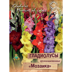 ������ ������ ���������� ��������������� ������� (25 ��.)   ����