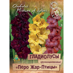 ������ ������ ���������� ��������������� ���� ���-����� (25 ��.)   ����