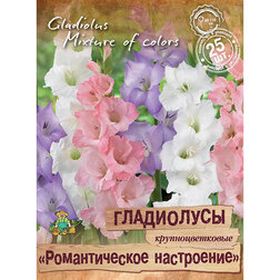 ������ ������ ���������� ��������������� ������������� ���������� (25 ��.)   ����