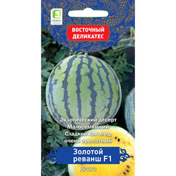 ������ ������ ����� ������� ������ F1 (��������� ���������)   ����