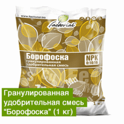 ������ ������ ��������� (1��) ���������   ����