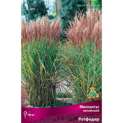 ������ ������ ��������� ��������� ��������   ����