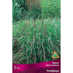 ������ ������ ����� ������������ ��������   ����