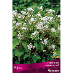 ������ ������ ��������� ����������� �������   ����