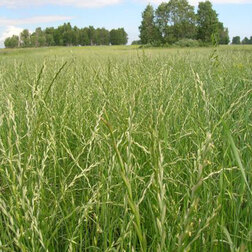 ������ ������ ������� ���������� ���-66 (1 ��)   ����