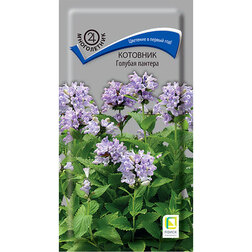 ������ ������ �������� ������� �������   ����