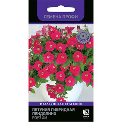 ������ ������ ������� ��������� ��������� ���� �� (������ �����)   ����