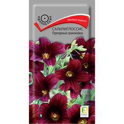 ������ ������ ������������� ��������� ���������   ����