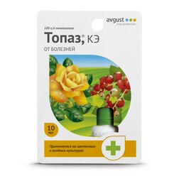 ������ ������ ����� (10��) (�� ��������� ���� � ��������)   ����