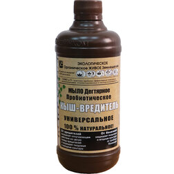 ������ ������ ��������� ���� 