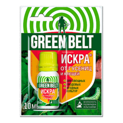 ������ ������ ����� � �� ������� (10��.)   ����