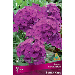 ������ ������ ����� ����������� ����� ����   ����