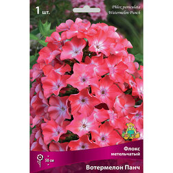 ������ ������ ����� ����������� ��������� ����   ����