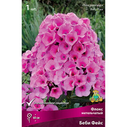 ������ ������ ����� ����������� ���� ����   ����