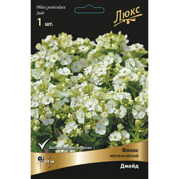 ������ ������ ����� ����������� �����   ����