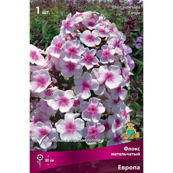 ������ ������ ����� ����������� ������   ����