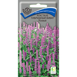 ������ ������ �������� ��������� ����� �������   ����