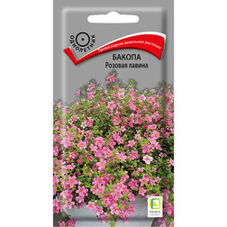 ������ ������ ������ ������� ������   ����