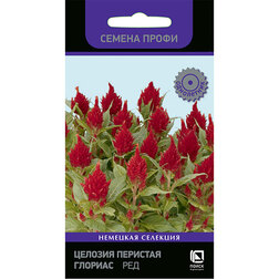 ������ ������ ������� �������� ������� ��� (������ �����)   ����