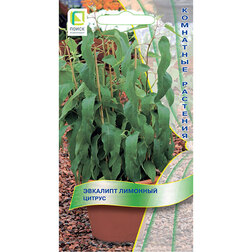 ������ ������ �������� �������� ������   ����