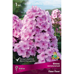 ������ ������ ����� ����������� ���� ����   ����