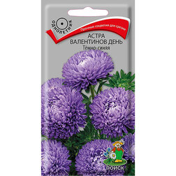 ������ ������ ����� ���������� ����Ҹ���-�����   ����