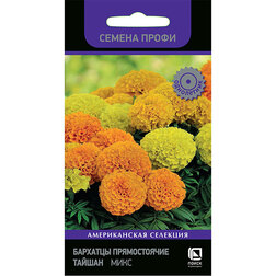 ������ ������ �������� ������������ ������ ���� (������ �����)   ����