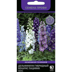 ������ ������ ���������� ��������� ������� ������� ���� (������ �����)   ����