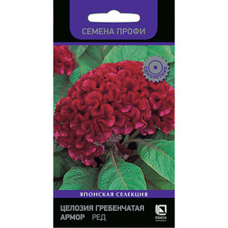 ������ ������ ������� ����������� ����� ��� (������ �����)   ����