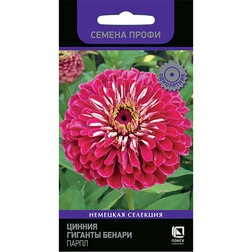 ������ ������ ������ ������� ������ ����� (������ �����)   ����